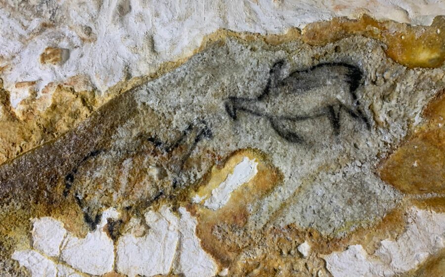 Pingouins représentés dans la Grotte